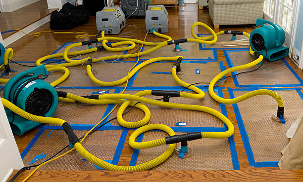 Professional Water Damage Restoration technician working in Sugar Grove, OH
